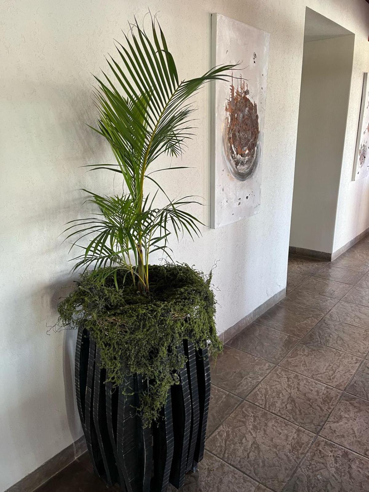 Howard Johnson Inn Rosario De La Frontera Dış mekan fotoğraf